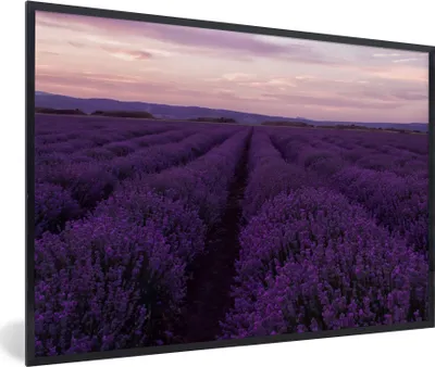 Produktbild von MuchoWow® Gerahmtes Poster Lavendel - Lila - Blumen - Natur 30x20 cm - Poster mit Schwarzem Bilderrahmen Wandposter Rahmen Foto Bilder - Kunstdruck - Bild-Poster