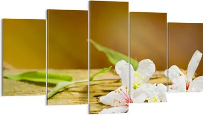 Produktbild von Bild auf Leinwand - Leinwandbild - Asien spa bambus blume - 160x85cm - Wand Bild - Wanddeko - Leinwanddruck - Bilder - Kunstdruck - Wanddekoration - Leinwand bilder - Wandkunst - EA160x85-2499