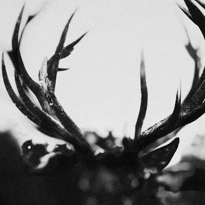 Obrázok produktu pre Ihsahn: Ihsahn: Ihsahn -   - (CD / I)