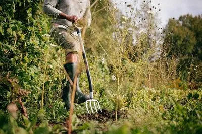 Obrázok produktu pre Fiskars Vidle Xact Rycie 1070716