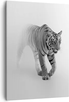 Produktbild von Bild auf Leinwand - Leinwandbild - Einteilig - Tiger Monochrom Porträt - 50x70cm - Wand Bild - Wanddeko - Wandbilder - Leinwanddruck - Wanddekoration - Leinwand bilder - Wandbild - PA50x70-4626
