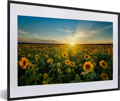 Produktbild von MuchoWow® Gerahmtes Poster Sonnenuntergang - Blumen - Sonnenblume - Horizont - Landschaft 60x40 cm - Poster mit Schwarzem Bilderrahmen Wandposter Rahmen Foto Bilder - Schlafzimmer - Plakat in Rahmen - Drucken