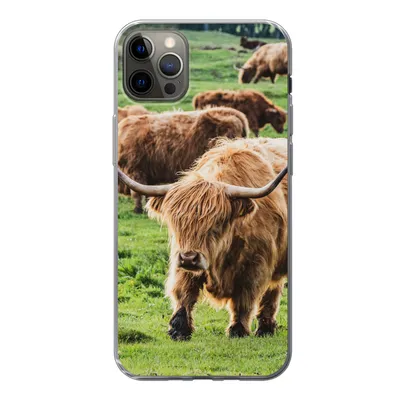Produktbild von MuchoWow® Handyhülle Schutzhülle Hülle für iPhone 13 Pro Max Schottische Highlander - Tiere - Gras Silikon Softcase Handy Hülle - Mobiltelefon