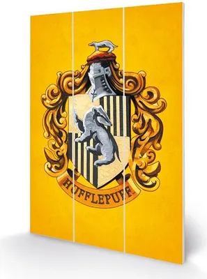 Produktbild von Pyramid International MW12845P, 1 Stück(e), Wizarding World, Rechteck, Holz
