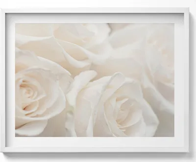 Produktbild von Weißes zartes anders– Wandbild mit Rahmen – Gerahmtes Bild  – Wanddekoration – 80x60 cm –  Weiß Rahmen