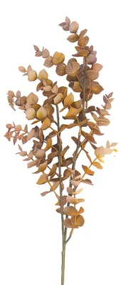 Produktbild von Clayre & Eef Kunstblume Braun Kunststoff
