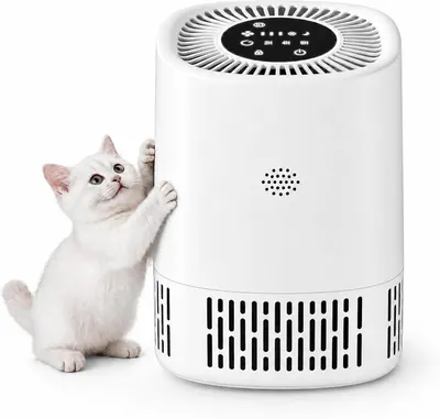 Produktbild von Luftreiniger Mit 3-in-1 HEPA Filter, CADR 100 M³/h Für Bis Zu 15㎡, 5 Stufen Inkl