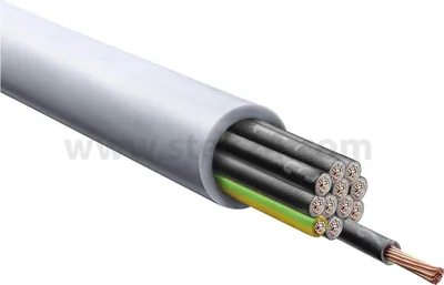 Produktbild von 1119412/1000 LAPP ÖLFLEX Classic 110 12G2,5mm² AD 14,8mm Nennspannung Uo/U 300V/500V - 1 Meter