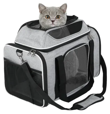 Faltbare Katzen-Transporttas, atmungsaktiv, bis 8 kg, Grau