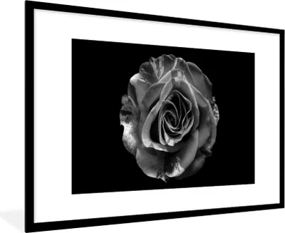 Produktbild von MuchoWow® Gerahmtes Poster Blumen - Rose - Schwarz - Weiß - Botanisch 90x60 cm - Poster mit Schwarzem Bilderrahmen Wandposter Rahmen Foto Bilder - Wanddekoration - Fotos