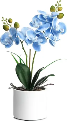 Productafbeelding van Kunstorchidee met Vaas - Nepbloemen Pot - Huisdecoratie - Levensechte Blauwe Bloemen - 37 cm Hoog - Blauw
