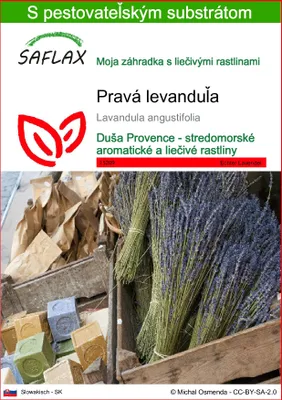 Obrázok produktu pre SAFLAX - pravá levanduľa - Lavandula angustifolia - 150 Semená - S pestovateľským substrátom bez klíčkov
