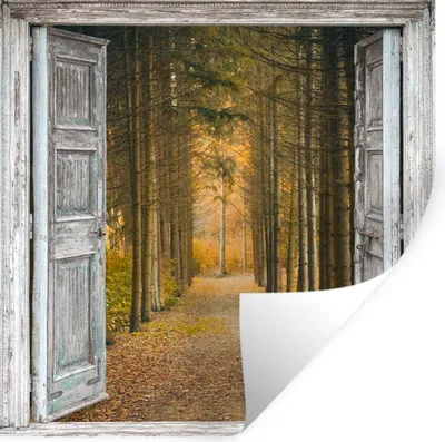 Produktbild von MuchoWow® Wandtattoo Wandsticker Wandaufkleber Wald - Herbst - Ausblick 80x80 cm Selbstklebend und Repositionierbar - Wierderverwendbar - Selbstklebend
