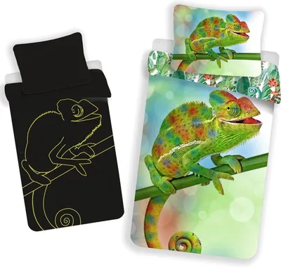 Zdjęcie produktu dla JERRY FABRICS Kameleon pościel bawełniana, 140/200, 70/90 cm
