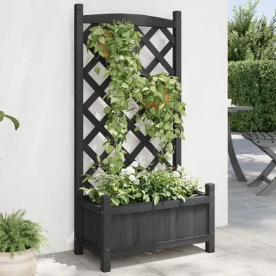 Produktbild von Pflanzkübel mit Spalier Schwarz Massivholz Tanne, Beete 365487