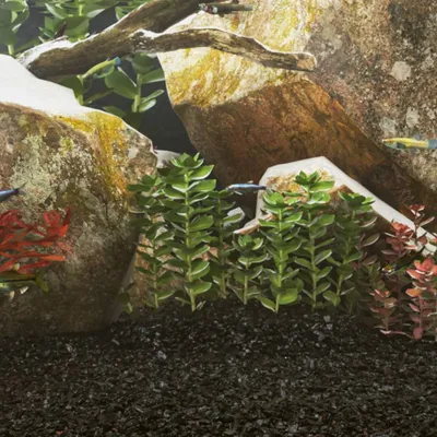 Produktbild von vidaXL Aquariensand 10 kg Schwarz 0,2-2 mm