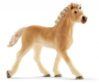 Produktbild von schleich HORSE CLUB Haflinger Fohlen, 5 Jahr(e), Mehrfarbig, Kunststoff