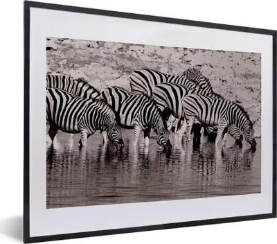 Produktbild von MuchoWow® MuchoWow® Gerahmtes Poster Zebras im Wasser 40x30 cm - Poster mit zchwarzem Bilderrahmen - Bilderrahmen - Poster im Rahmen
