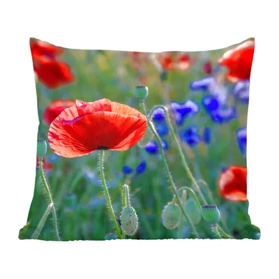 Produktbild von MuchoWow® Zierkissen Sofakissen Wohnzimmer Dekokissen 40x40 cm Bunte Mohnblumen in den Niederlanden - Foto Kissen - Schlafzimmer Dekoration