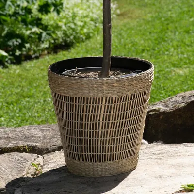 Produktbild von BOURGH Pflanzkorb MANDELA, Durchmesser 25 cm, aus Bambus und Seegras