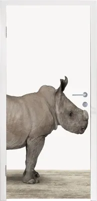 Produktbild von MuchoWow® Türtapete Selbstklebende Türfolie Rhinozeros - Tiere - Jungen - Mädchen 85x215 cm Türposter Türaufkleber Klebefolie Türklebefolie - Aufkleber für türen - Türplakat - Dekoration
