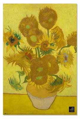 Immagine prodotto di Poster di Van Gogh, "Girasoli" - 91,5 x 61 cm - Decorazione murale artistica