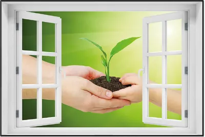 Produktbild von Wallario Wandbild mit Fenster-Illusion: Eine zarte Pflanze - von Hand zu Hand, Größe: 61 x 91,5 cm, Poster mit schwarzem Aluminiumrahmen