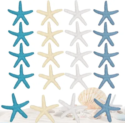 Productafbeelding van Miniature harszeesterren, 20 stuks, diameter 5,8 cm, kleurrijk, voor decoratie