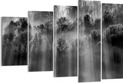 Produktbild von Bild auf Leinwand - Leinwandbild - 5 Teile - Bäume drinnen Nebel - 150x100cm - Wand Bild - Wanddeko - Wandbilder - Leinwanddruck - Bilder - Wanddekoration - Leinwand bilder - Wandbild - EG150x100-4889