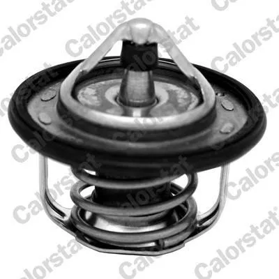 Produktbild von CALORSTAT by Vernet Thermostat Kühlmittel 95°C für NISSAN Qashqai / Qashqai +2 I (J10, NJ10) für RENAULT Clio III Schrägheck (BR0/1, CR0/1)