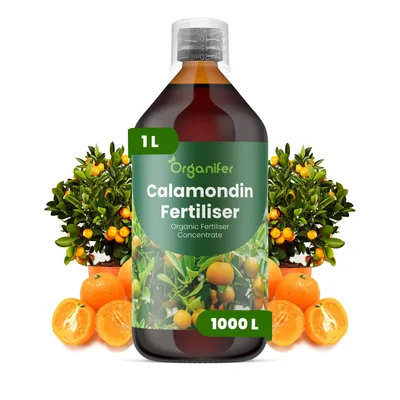 Obrázek produktu pro Calamondin Tekuté Hnojivo 1 L – 2-1-8 NPK – Pro Citrusové Rostliny – Pro Bujné Květy & Tvorbu Plodov – Podporuje Kořeny & Vitalitu – Organifer