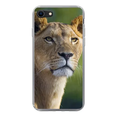 Produktbild von MuchoWow® Handyhülle Schutzhülle Hülle für iPhone SE 2020 Porträt - Löwe - Wild Silikon Softcase Handy Hülle - Kartenbesitzer