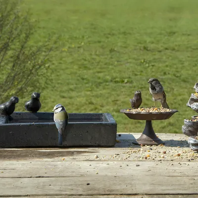 Produktbild von Charmantes Vogelbad, Vogeltränke aus TERRAZZO eckig, scwarz