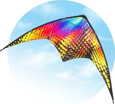 Produktbild von HQ Sportkite - Bebop Vibe Delta