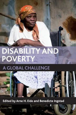Produktbild von Disability and poverty