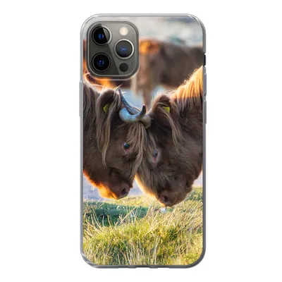 Produktbild von MuchoWow® Handyhülle Schutzhülle Hülle für iPhone 12 Pro Schottische Highlander - Tiere - Sonne Silikon Softcase Handy Hülle - Abdeckung