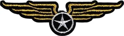 Produktbild von Luftwaffenfliegerflügel-Stern-Emblem-Aufnäher zum Aufbügeln