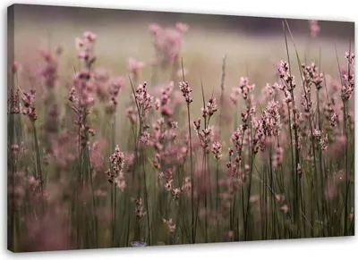 Produktbild von Leinwandbild rosa feldblumen 90x60 cm Feeby lila wandbild bereit zum aufhängen