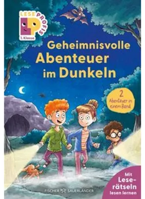 Obrázok produktu pre Leseprofis - Geheimnisvolle Abenteuer im Dunkeln, 1. Klasse (Doppelband)