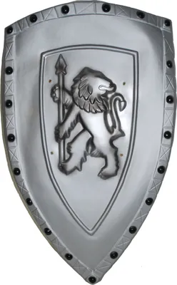 Produktbild von SHIELD, 72 cm