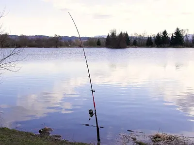 Immagine prodotto di Delphin DANGER CatFISH Canna da pesca 2,55 m 350 g 2 parti, Immagine generata dall'IA