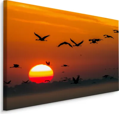 Zdjęcie produktu dla Obraz ptaki żurawie zachód słońca Ozdoba ścienna abstrakcja 3D do Salonu 120x80cm