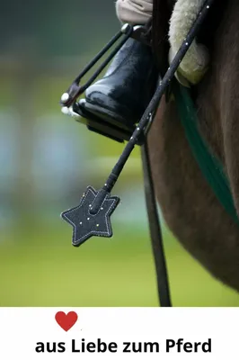 Produktbild von Equipage Gerte Reitgerte mit Klatsche und Gummigriff, schwarz Springstock 65 cm