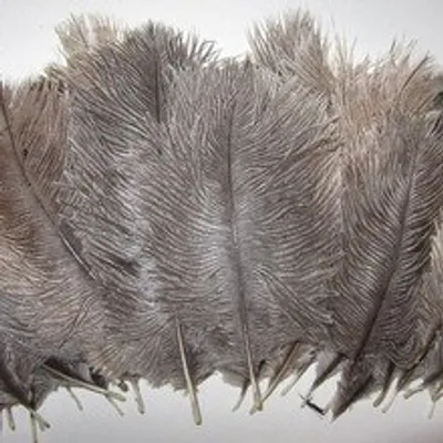 Obrázek produktu pro Pštrosí peří 10-15 cm, barva přírodní, nebarvené, 10 ks / 1ks