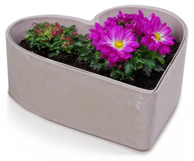 Produktbild von Herz Pflanzschale für draussen Dekoschale sand beige 22 cm