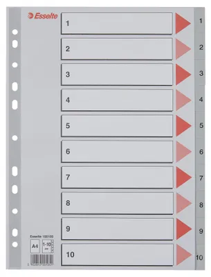 Image de Classeur plastique gris Esselte A4 - 1 - 10