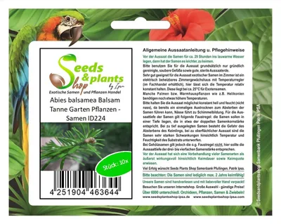 Produktbild von 10x Abies balsamea Balsam Tanne Garten Pflanzen - Samen ID224