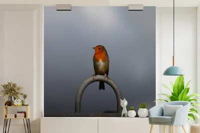 Produktbild von Vogeldekoraatiefotobehang Roodborstje, 260 cm x 260 cm, Hekdekoraatiefotobehang