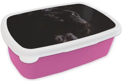 Produktbild von KitchenYeah® Lunchbox Brotzeit Brotdose 17x11 cm Panther - Tier - Schwarz Kinder Brotzeitdose - Lunchpaket - Brotkasten  - Sandwich Box