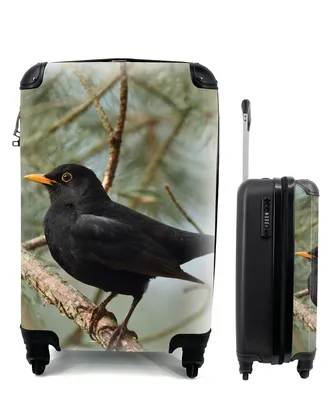 Produktbild von MuchoWow® Koffer Handgepäck Trolley Rollkoffer Kleine Reisekoffer mit 4 Rollen - Vogel - Amsel - Zweige - Tiere - Cabin Size < 55x40x23 cm & 55x40x20 cm - Fotokoffer - Kabinenkoffer - Boardgepäck - Reise-Box - Reisekoffer - Reisegepäck - Koffer mit Bild - Trolley für Kinder